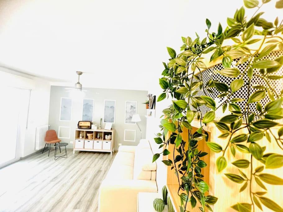 Suite Colibri - Sanremo Centro Екстериор снимка