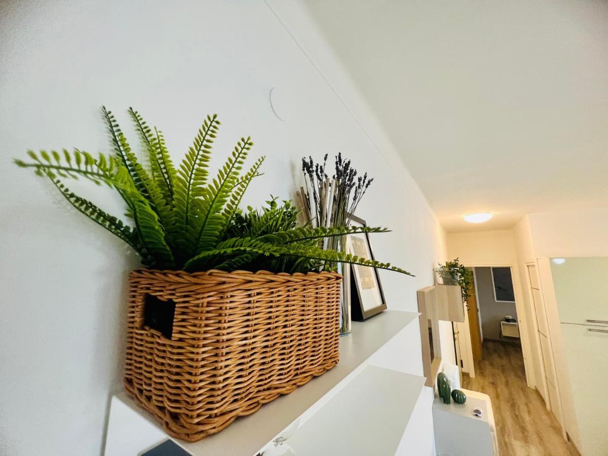 Suite Colibri - Sanremo Centro Екстериор снимка